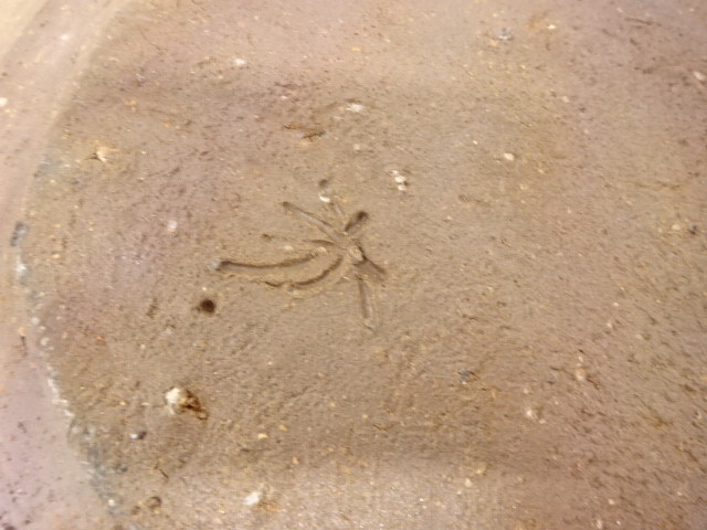  備前焼　鈴木黄弌造　大鉢